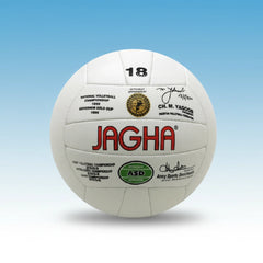 Professional Volleyball 18”